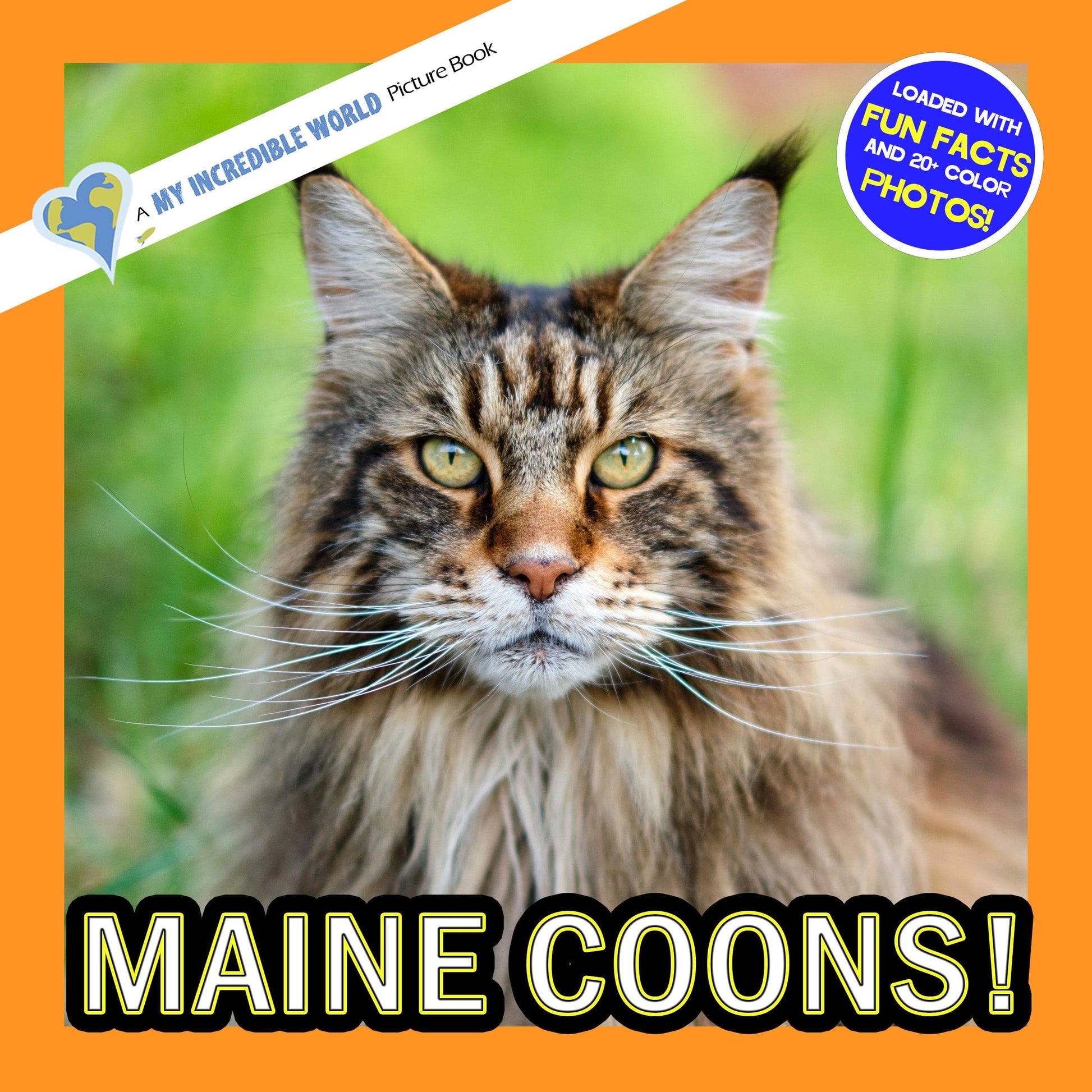 Maine Coons! A My Incredible World Picture Book for Children