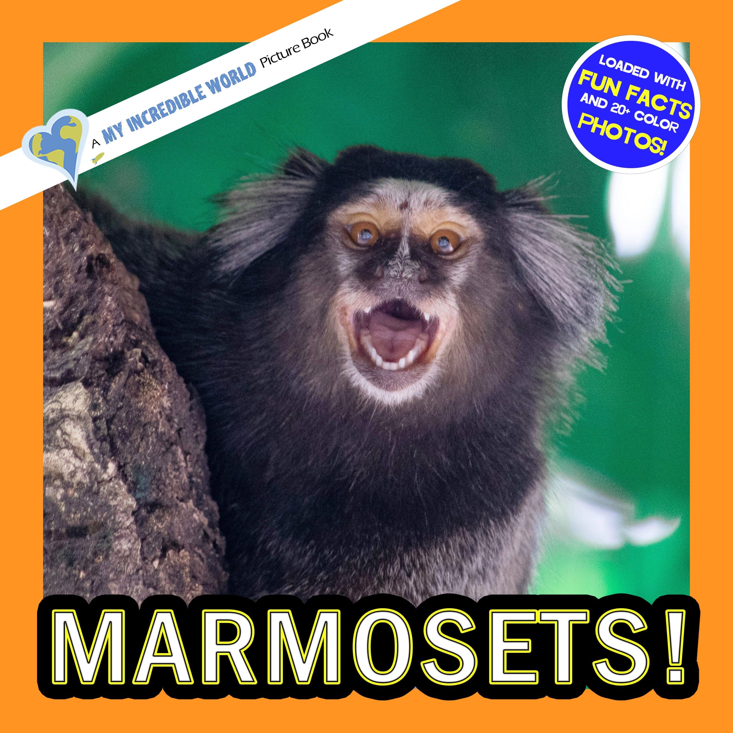 Marmosets! A My Incredible World Picture Book for Children