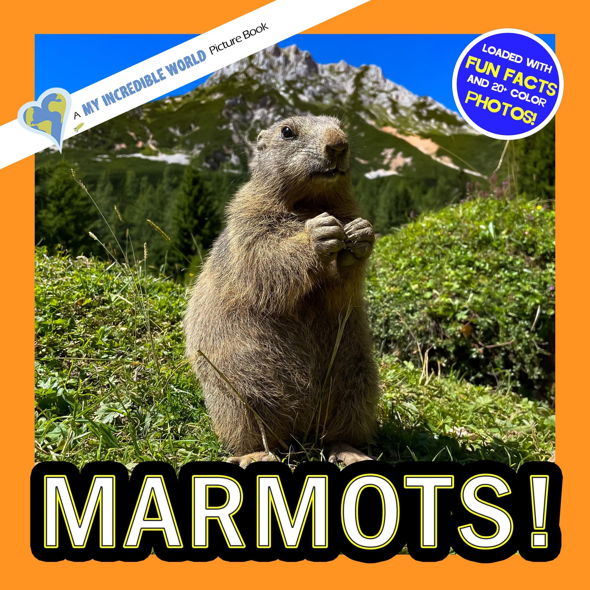 Marmots! A My Incredible World Picture Book for Children