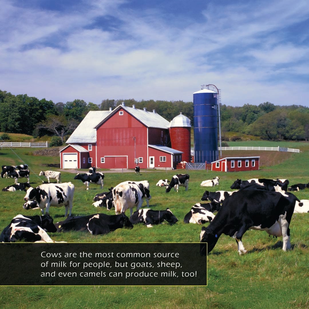 Milk! A My Incredible World Picture Book for Children