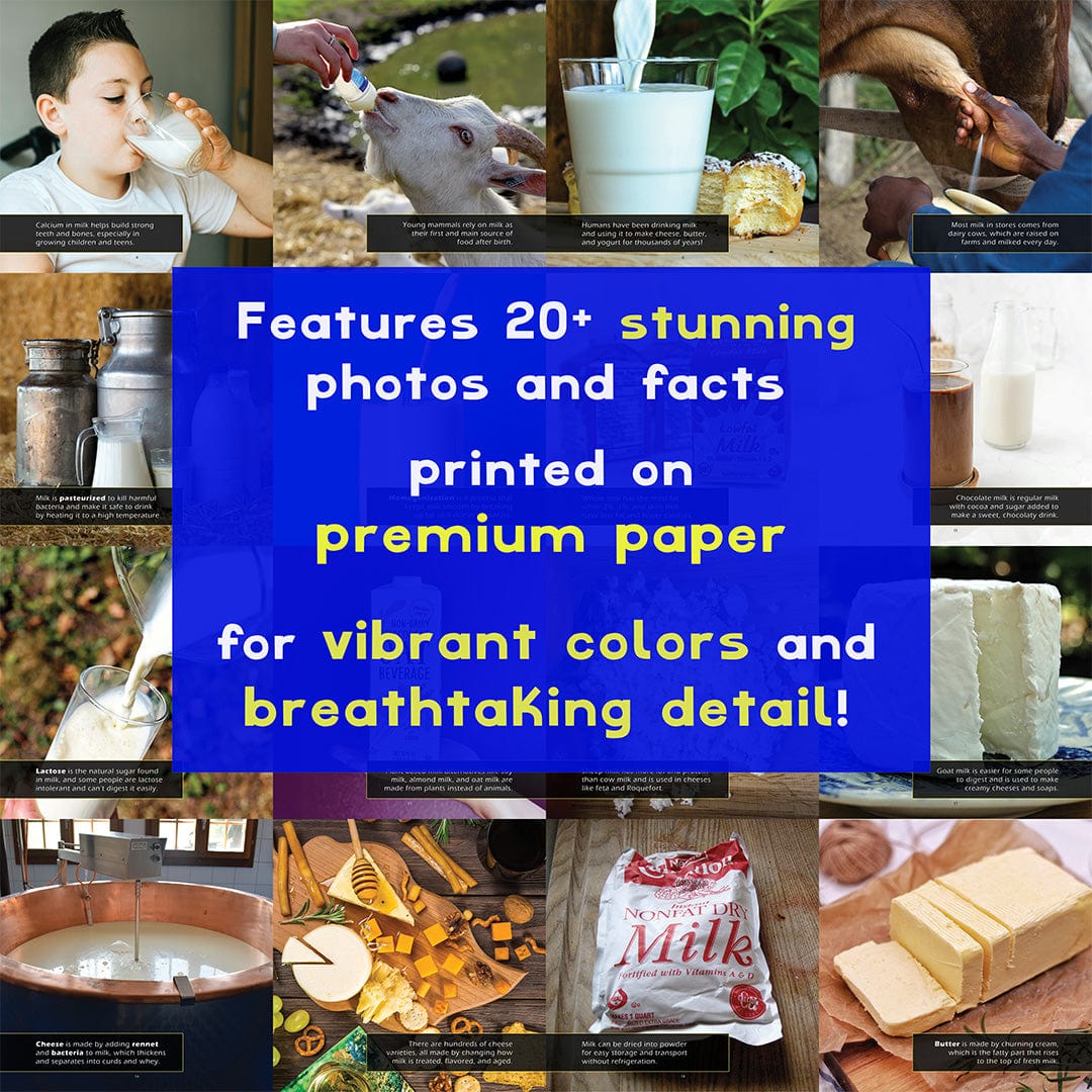 Milk! A My Incredible World Picture Book for Children