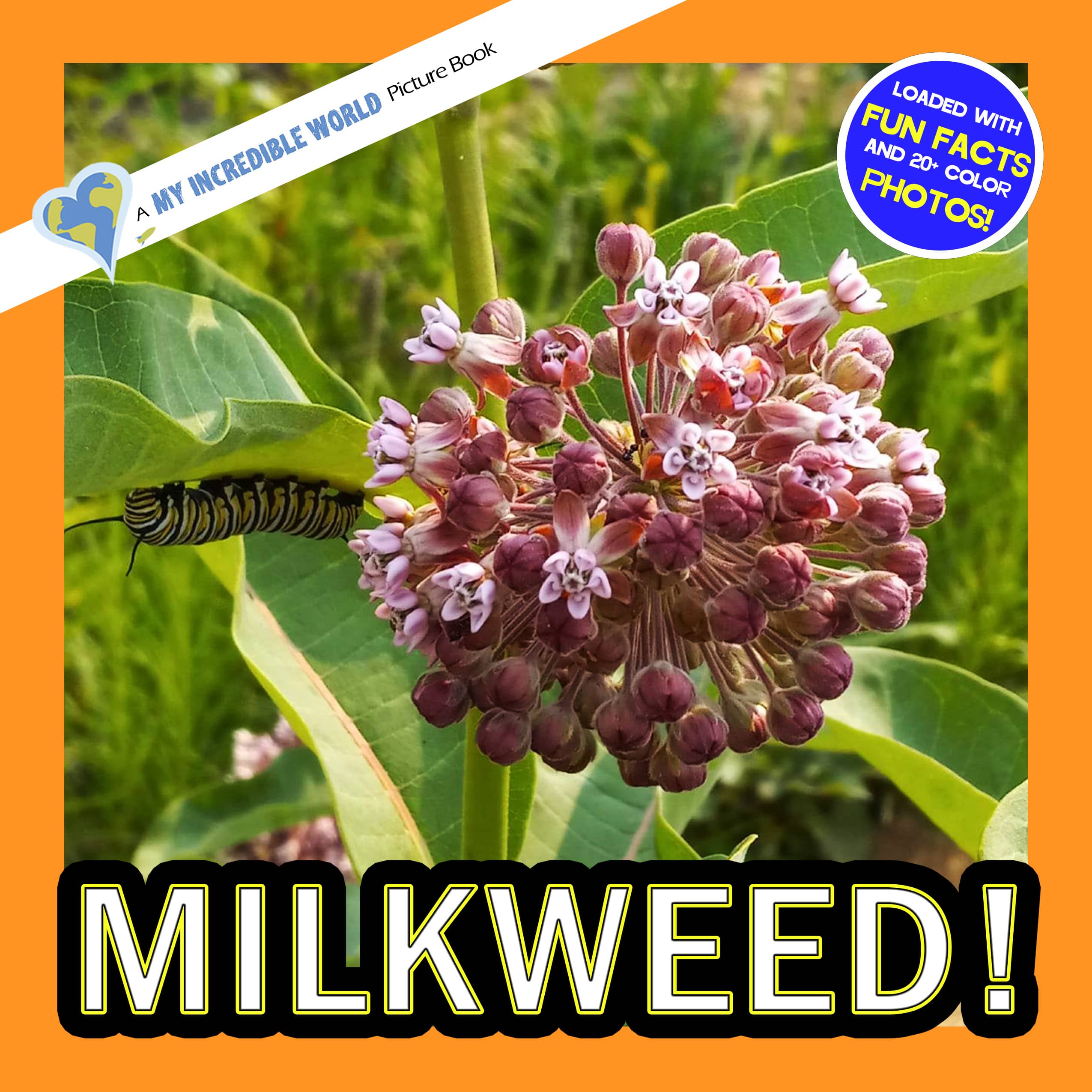 Milkweed! A My Incredible World Picture Book for Children