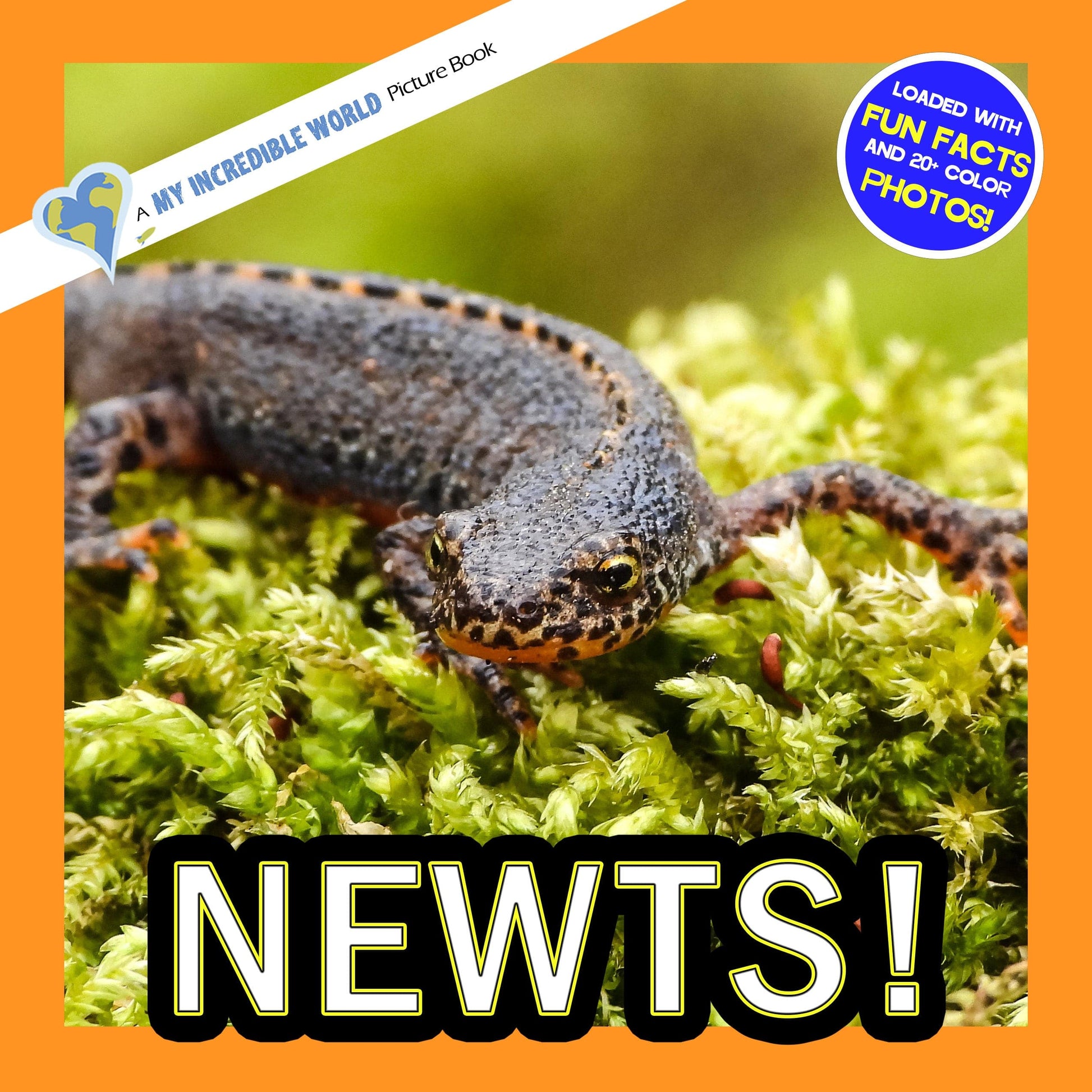 Newts! A My Incredible World Picture Book for Children