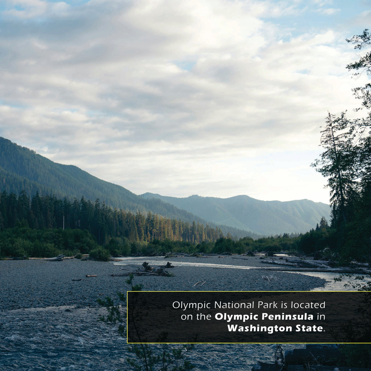 Olympic National Park! A My Incredible World Picture Book for Children