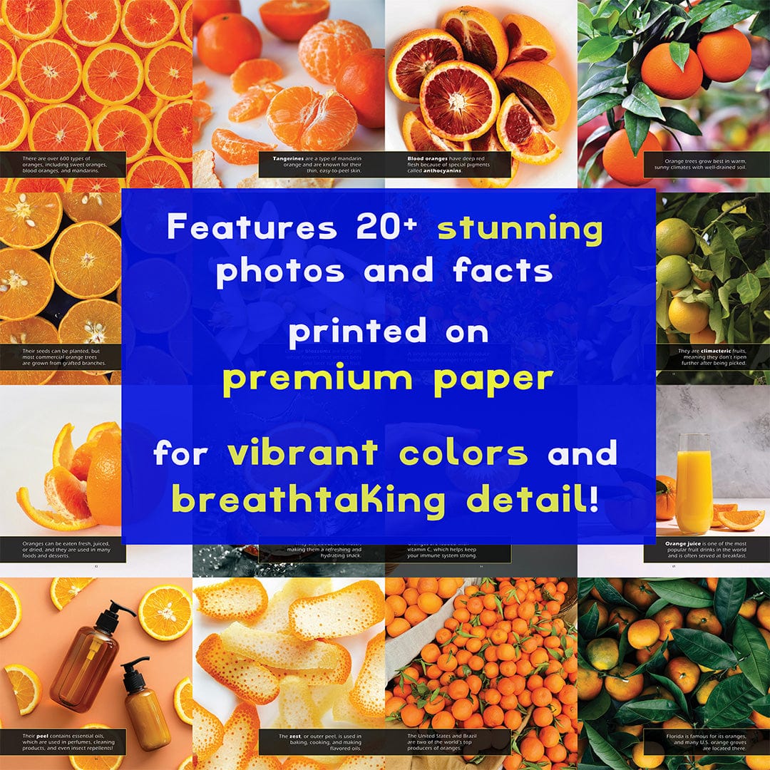 Oranges! A My Incredible World Picture Book for Children