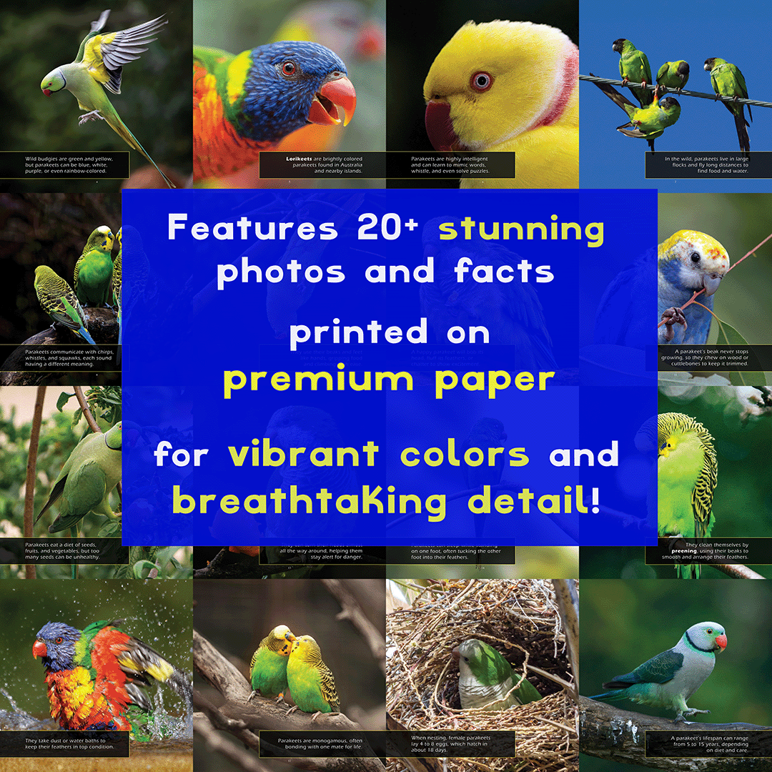 Parakeets! A My Incredible World Picture Book for Children