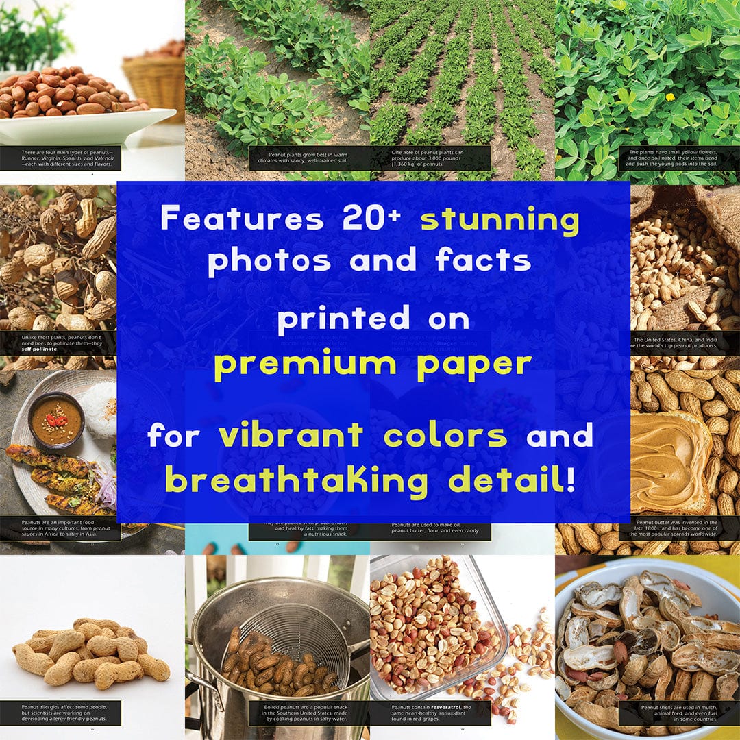 Peanuts! A My Incredible World Picture Book for Children