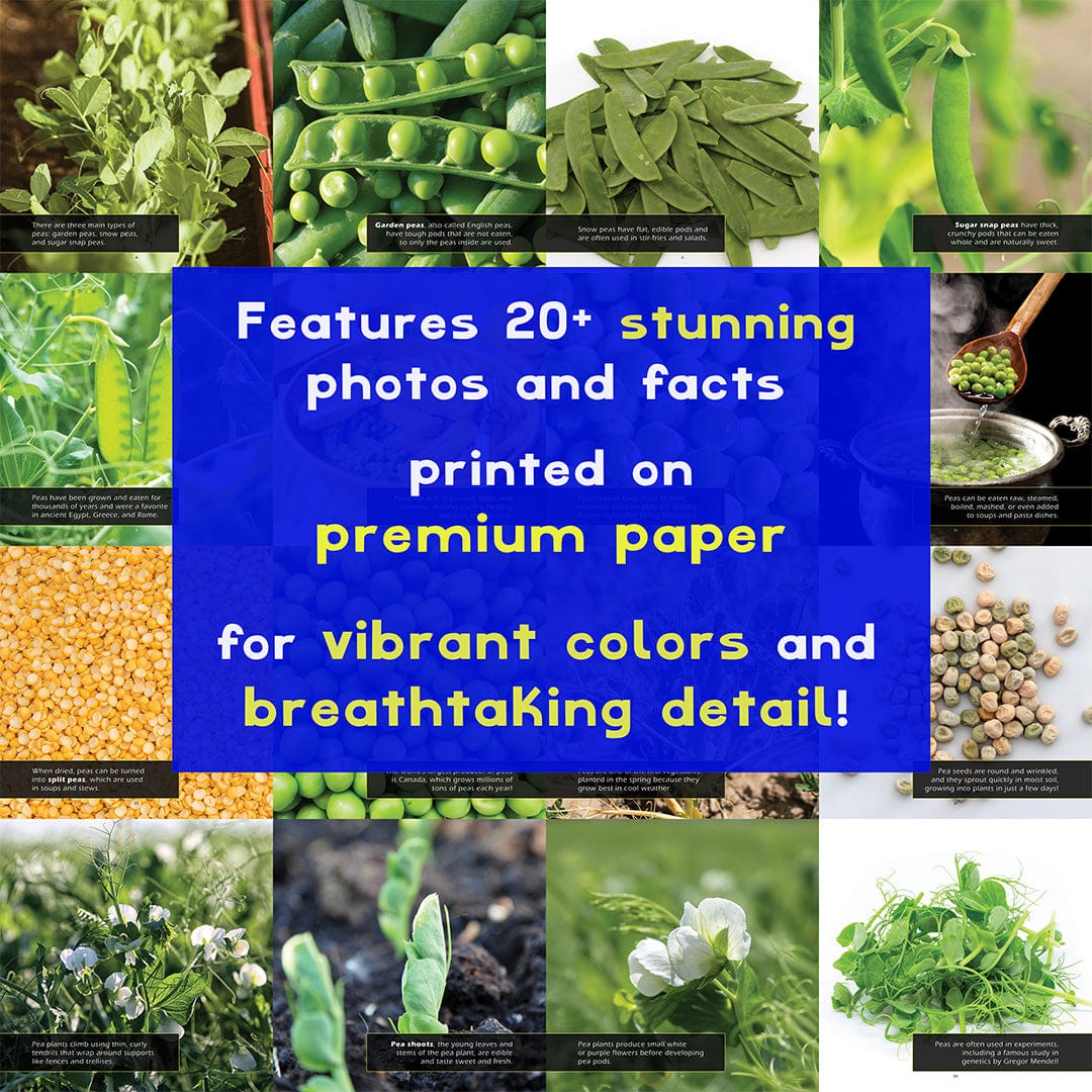 Peas! A My Incredible World Picture Book for Children