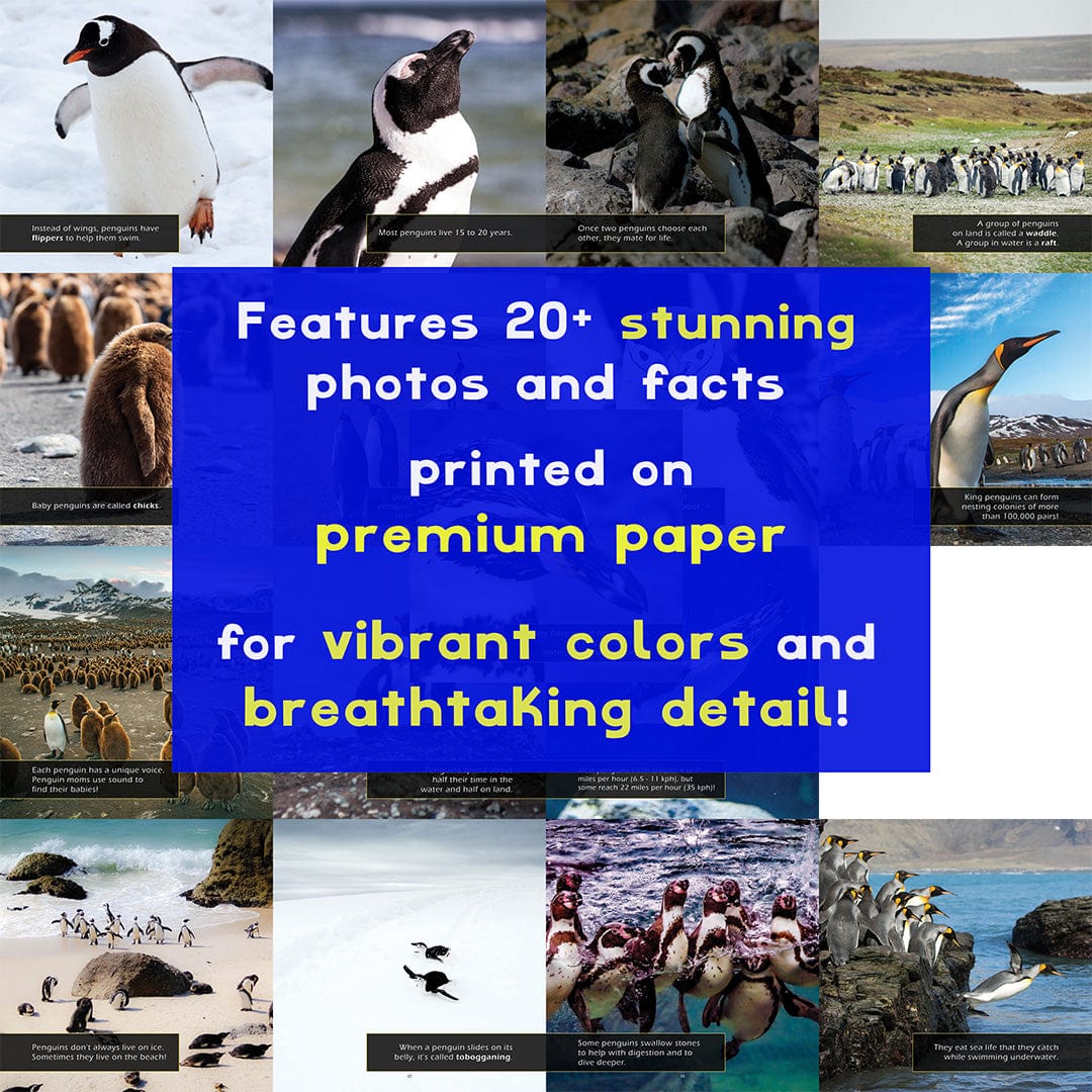 Penguins! A My Incredible World Picture Book for Children