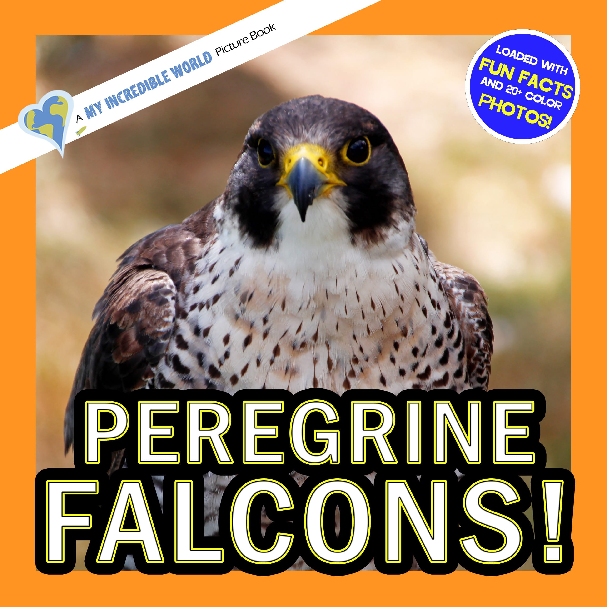 Peregrine Falcons! A My Incredible World Picture Book for Children
