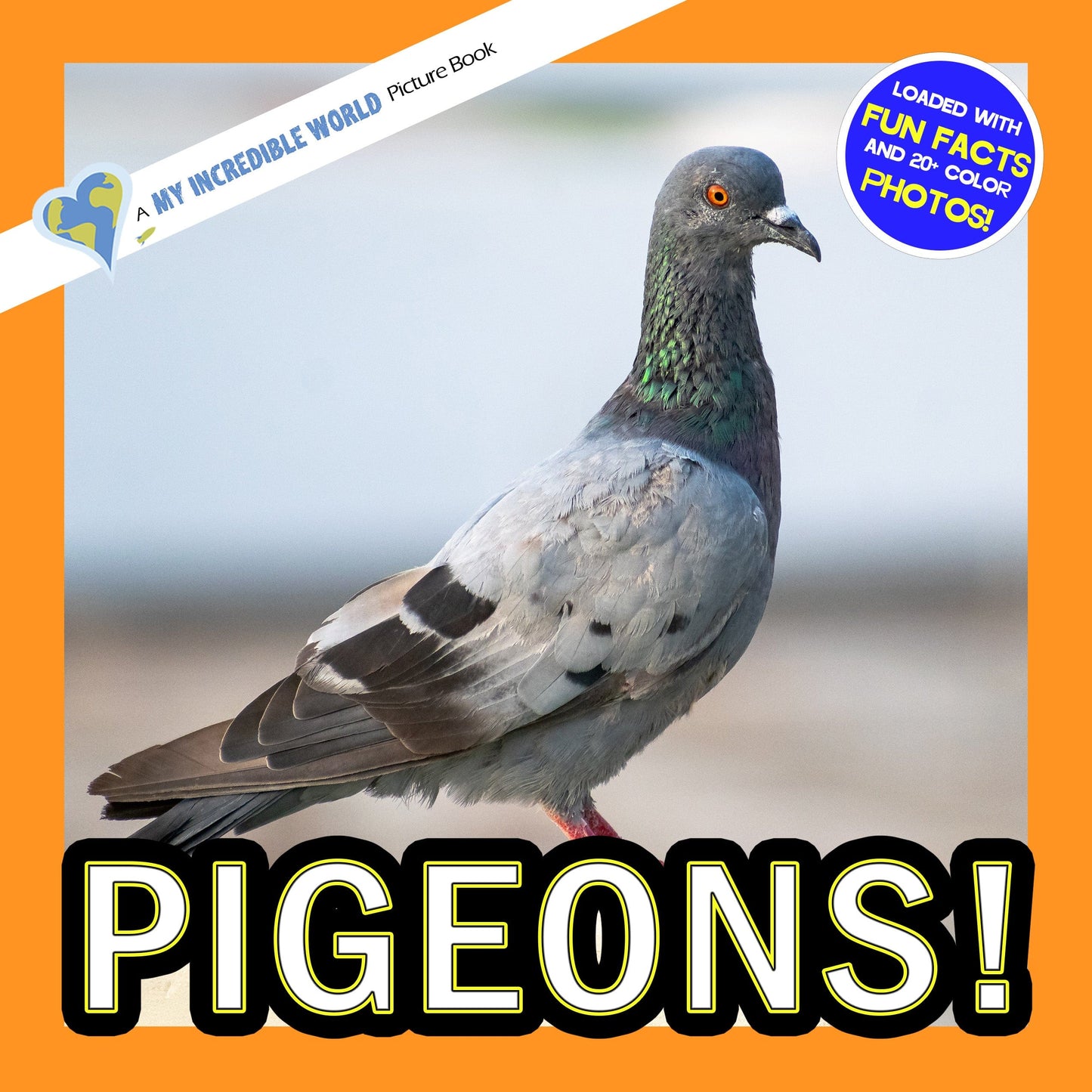 Pigeons! A My Incredible World Picture Book For Children