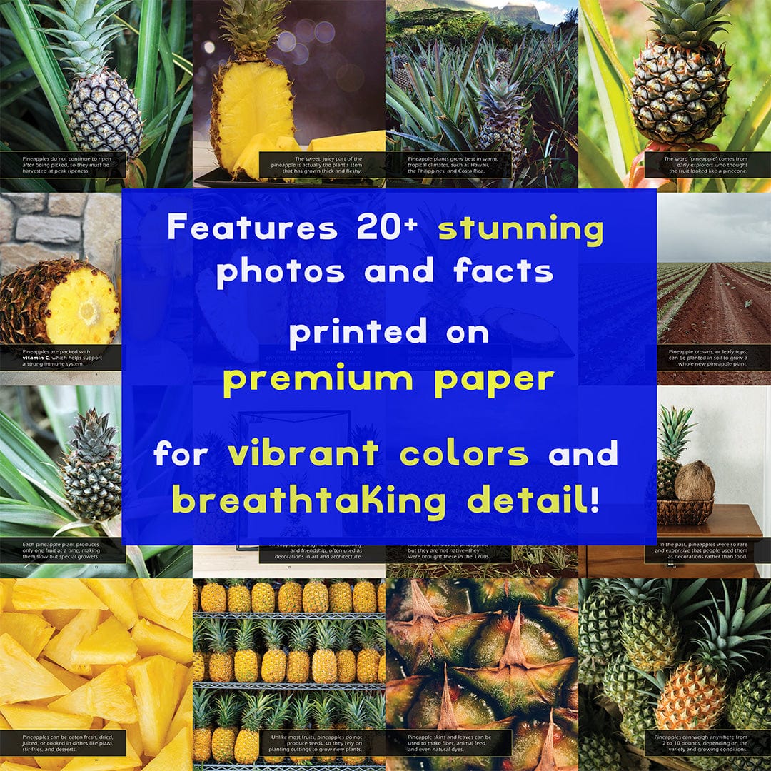 Pineapples! A My Incredible World Picture Book for Children