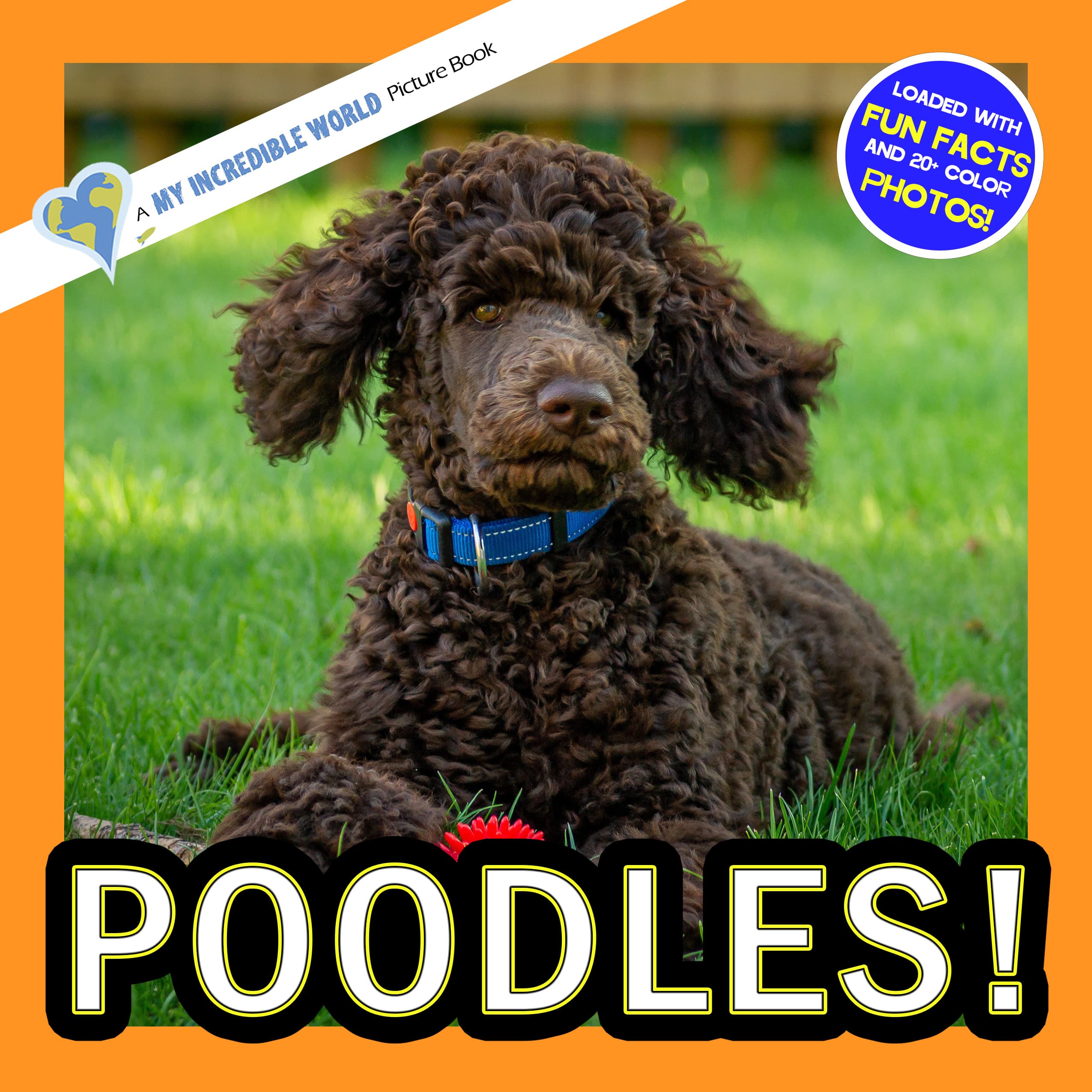 Poodles Book for Kids | Smart Dogs & Curly Coats – My Incredible World