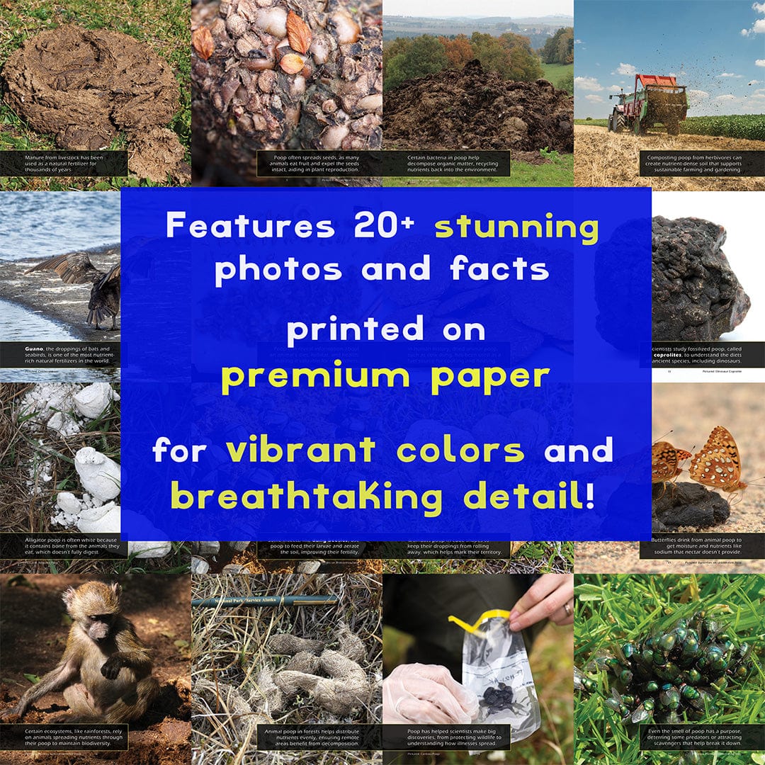 Poop! A My Incredible World Picture Book for Children