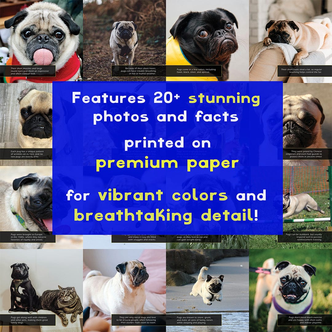 Pugs! A My Incredible World Picture Book for Children