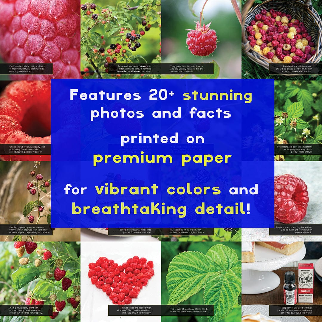 Raspberries! A My Incredible World Picture Book for Children