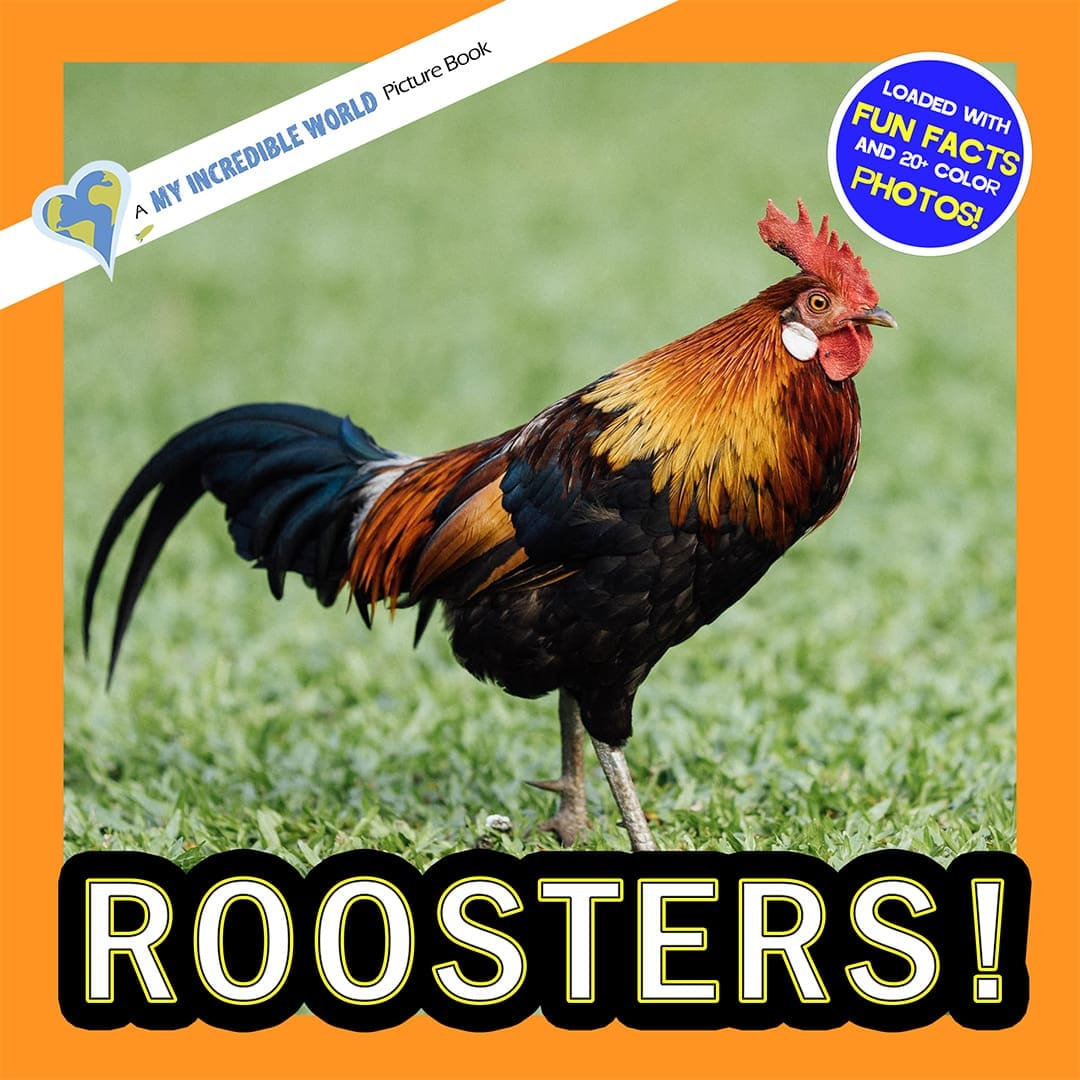 Roosters! A My Incredible World Picture Book for Children
