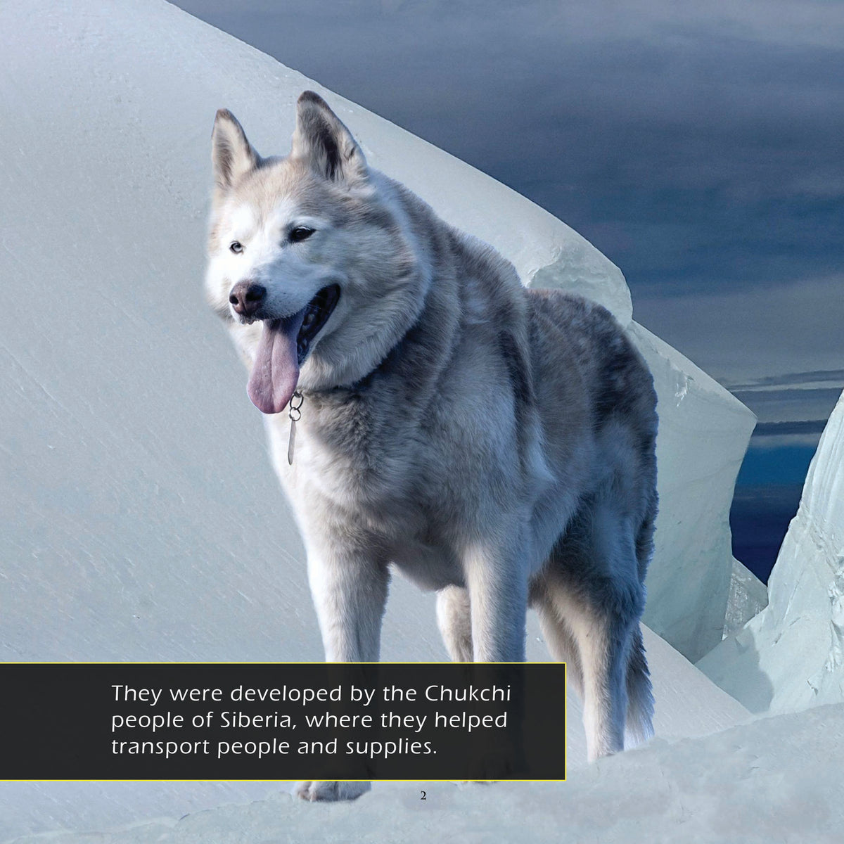 Siberian Huskies! A My Incredible World Picture Book for Children