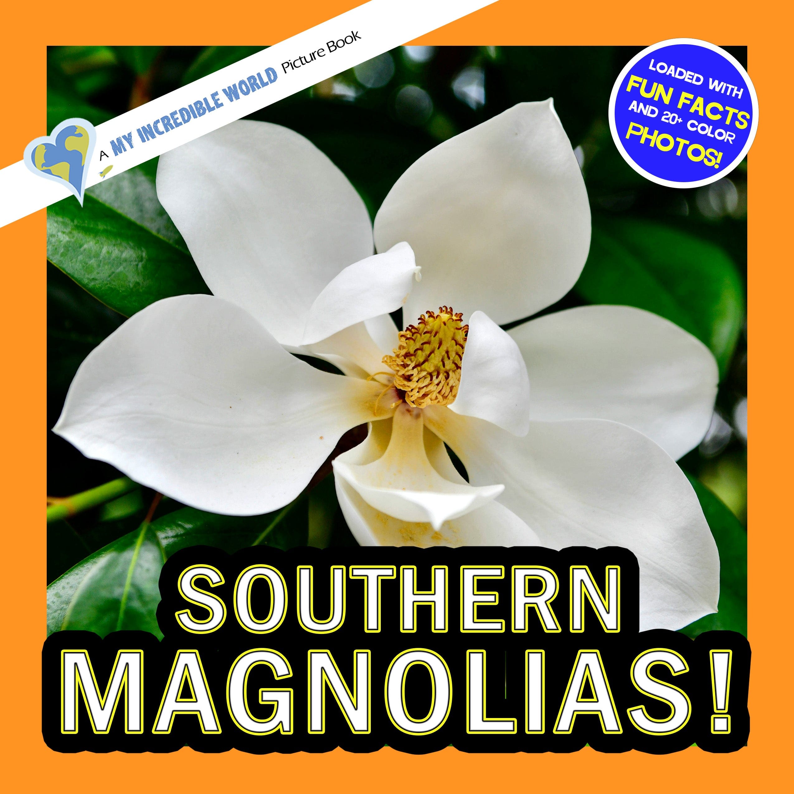 Southern Magnolias! A My Incredible World Picture Book for Children