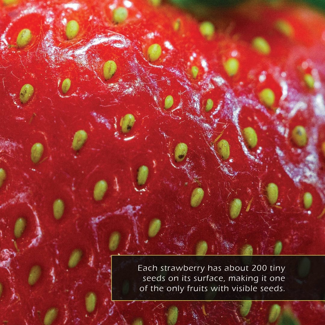 Strawberries! A My Incredible World Picture Book for Children