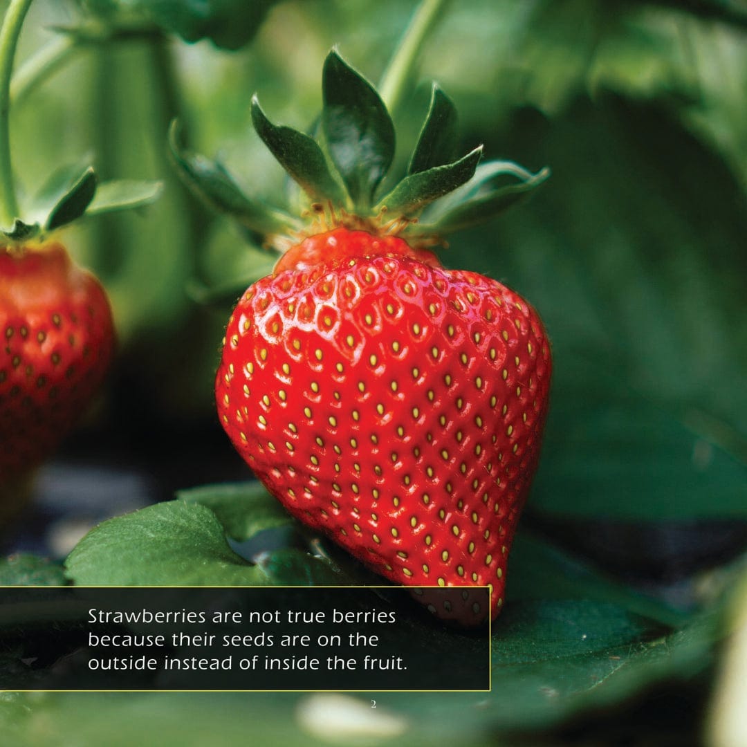 Strawberries! A My Incredible World Picture Book for Children