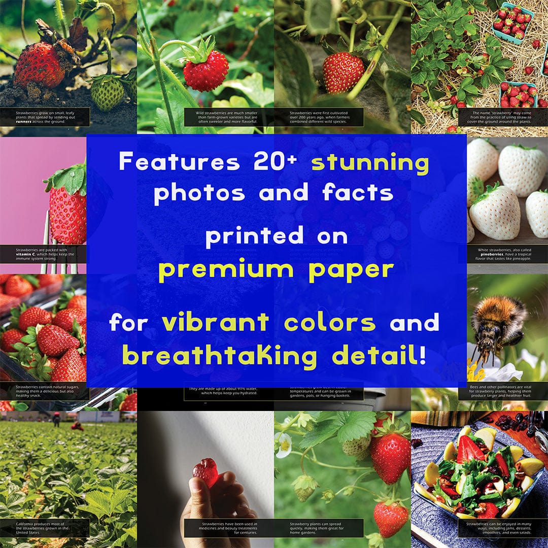Strawberries! A My Incredible World Picture Book for Children