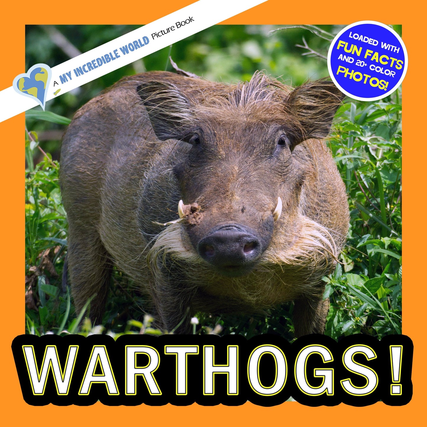 Warthogs! A My Incredible World Picture Book for Children