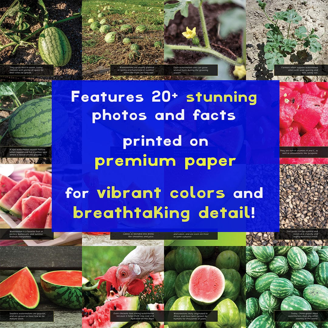 Watermelons! A My Incredible World Picture Book for Children