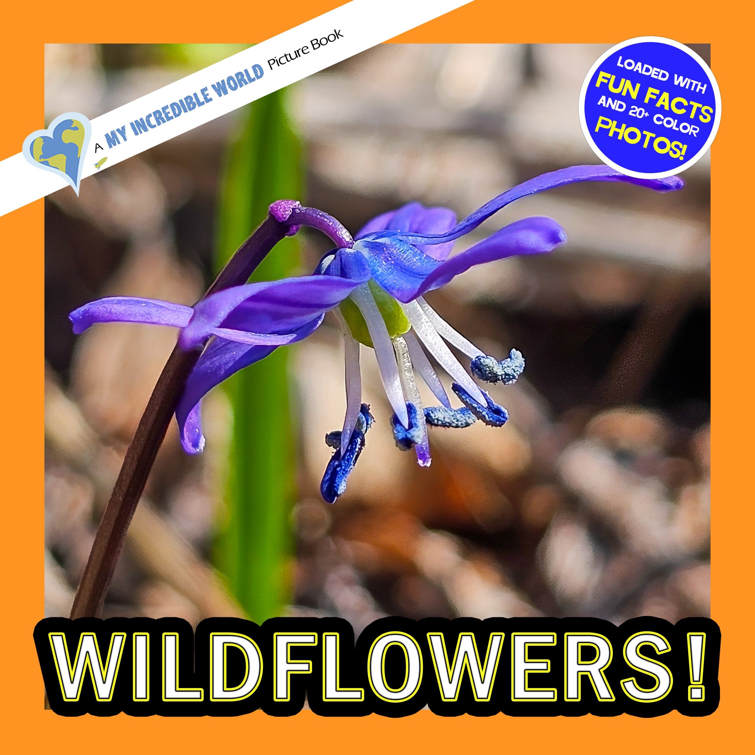 Wildflowers! A My Incredible World Picture Book for Children