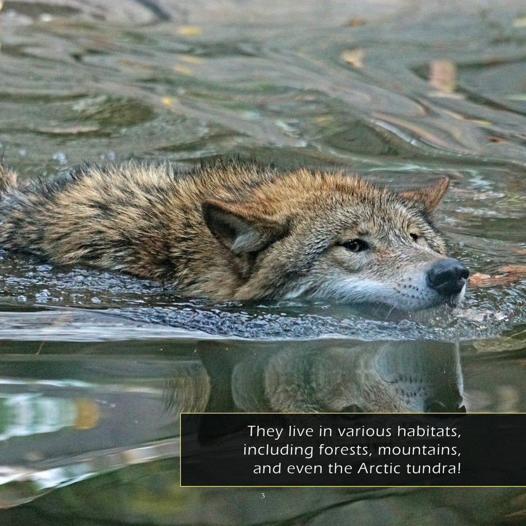 Wolves! A My Incredible World Picture Book for Children