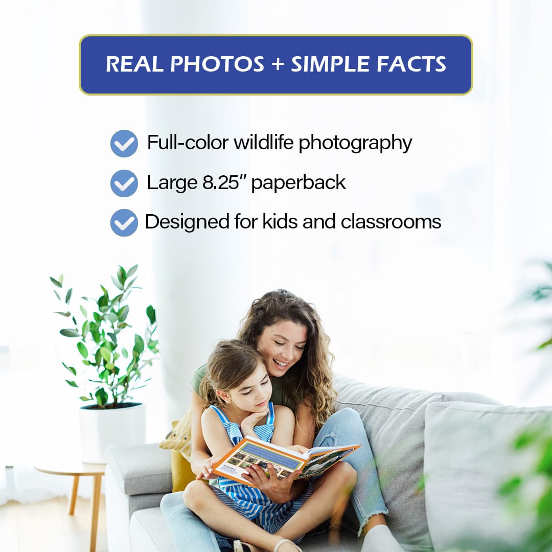 Real Photos + Simple Facts
