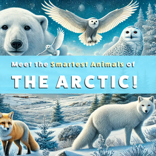 The Smartest Animals of the Arctic: 10 Incredible Creatures That Will Amaze You!