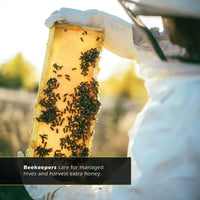 Honey Bees! Classroom 10-Pack