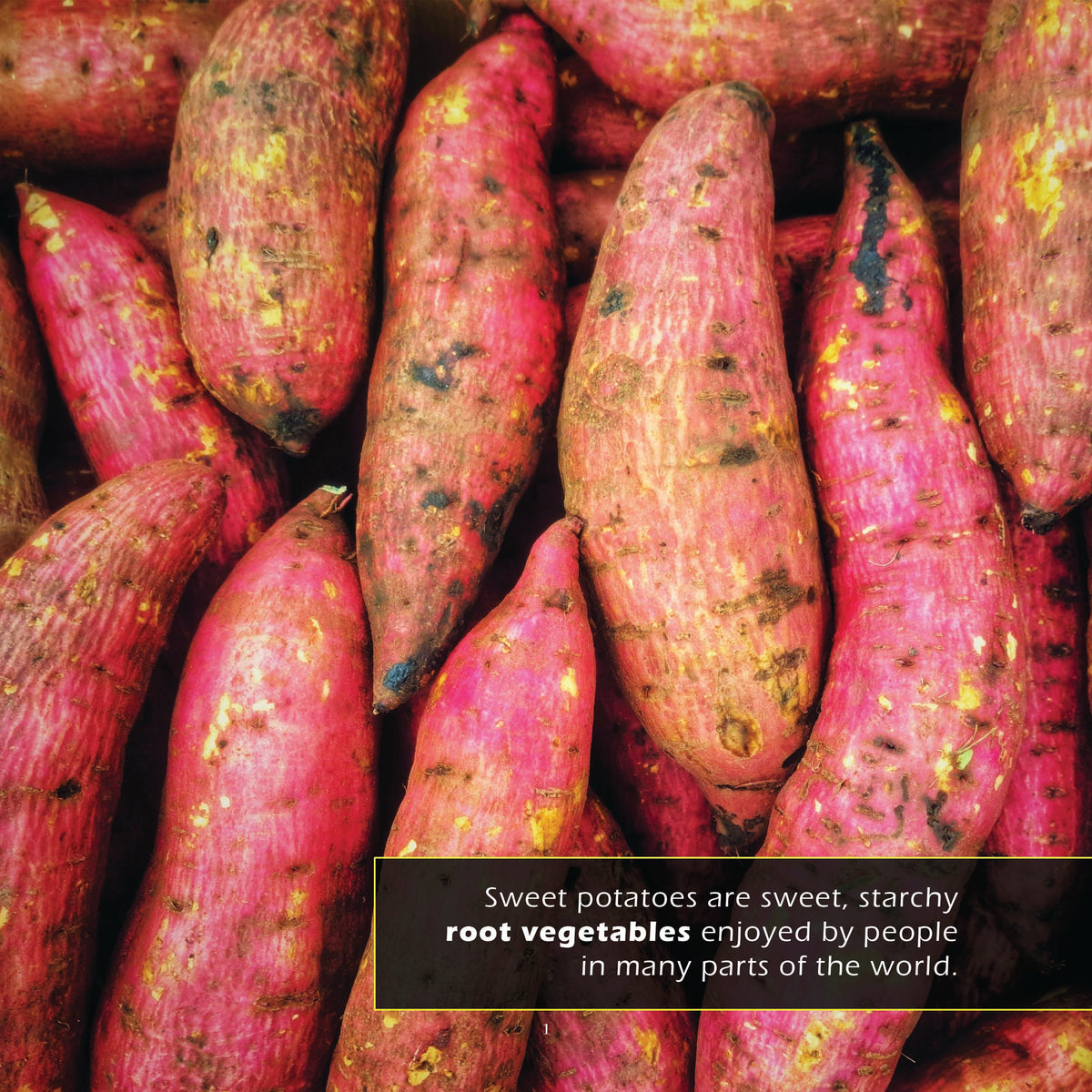 Sweet Potatoes! A My Incredible World Picture Book for Children