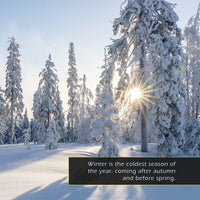 Winter! Classroom 10-Pack