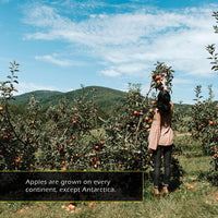 Apples! Classroom 10-Pack