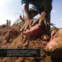 Sweet Potatoes! A My Incredible World Picture Book for Children