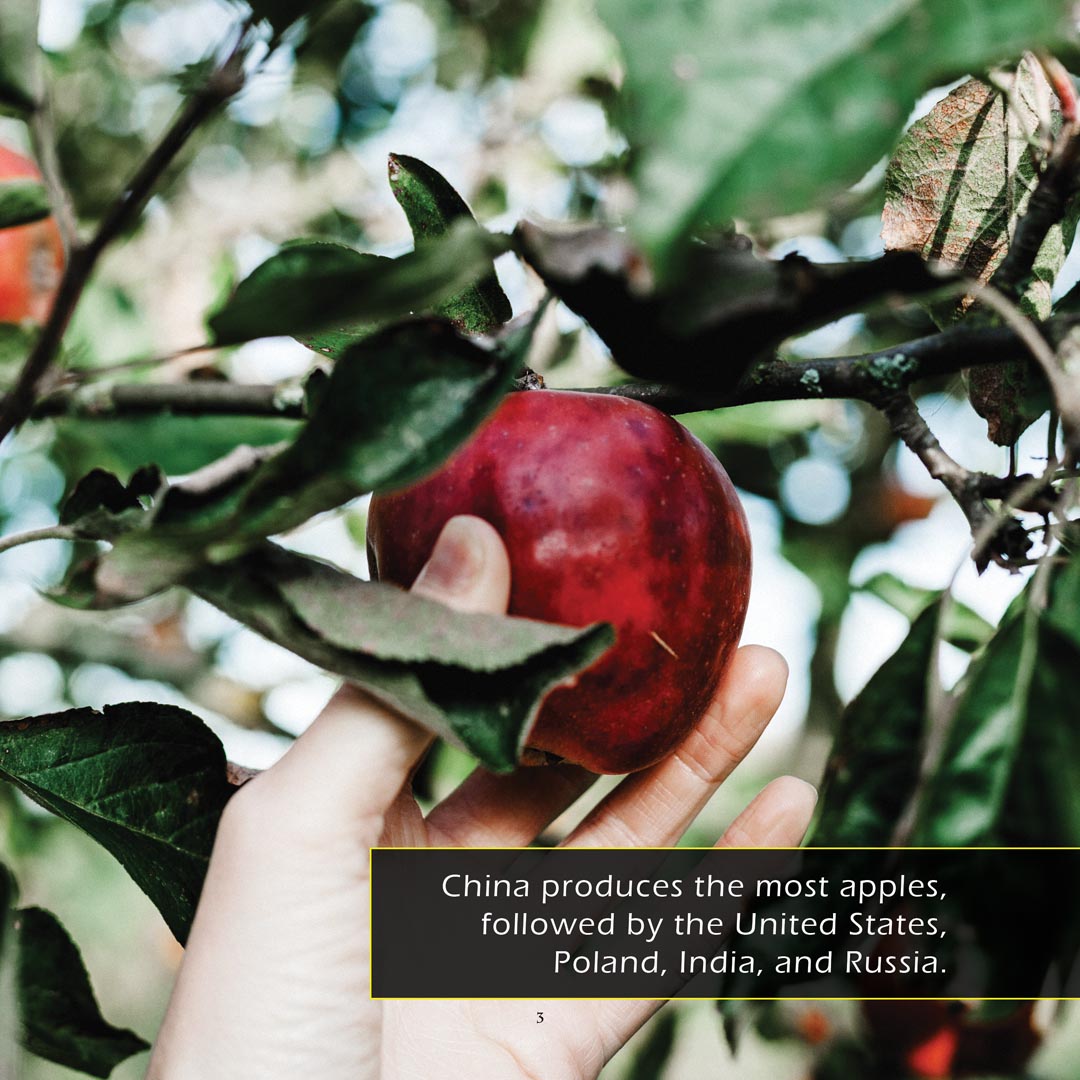 Apples! Classroom 10-Pack