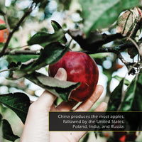 Apples! Classroom 10-Pack