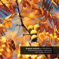 Walnuts! Classroom 10-Pack