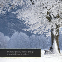 Winter! Classroom 10-Pack