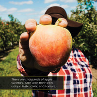 Apples! Classroom 10-Pack