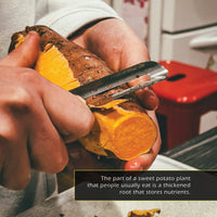 Sweet Potatoes! A My Incredible World Picture Book for Children