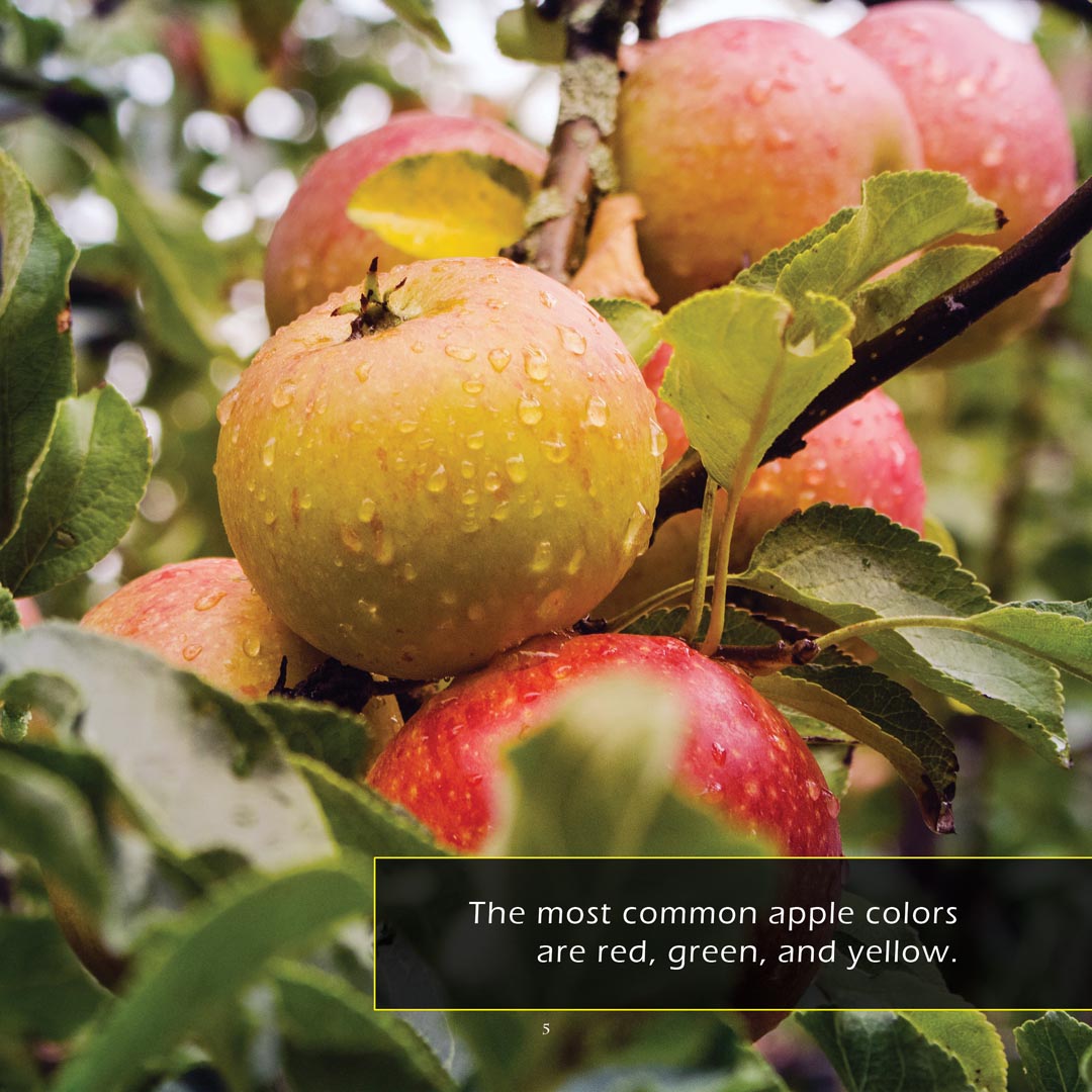 Apples! Classroom 10-Pack