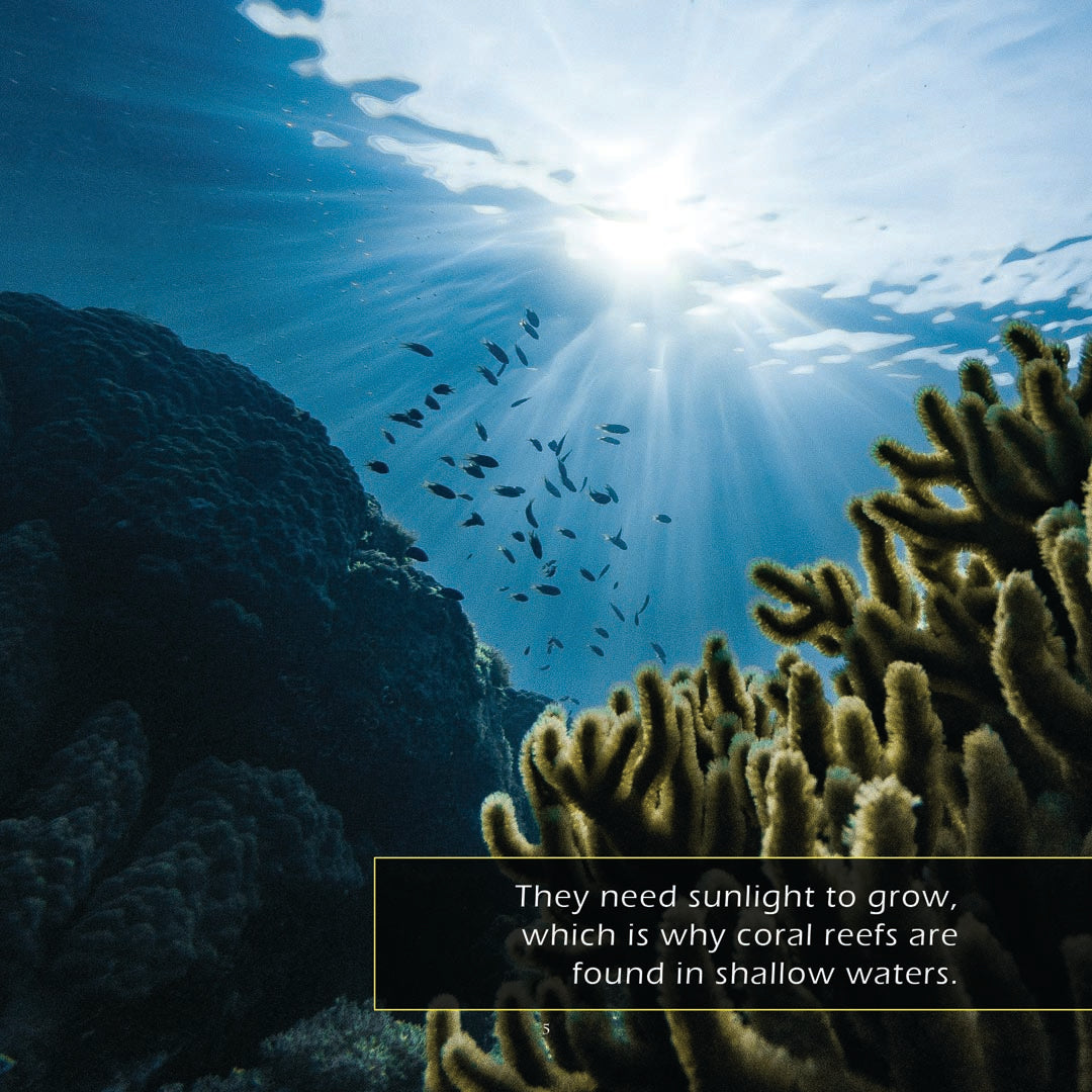 Coral Reefs: A My Incredible World Picture Book for Children