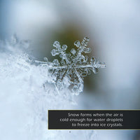 Winter! Classroom 10-Pack
