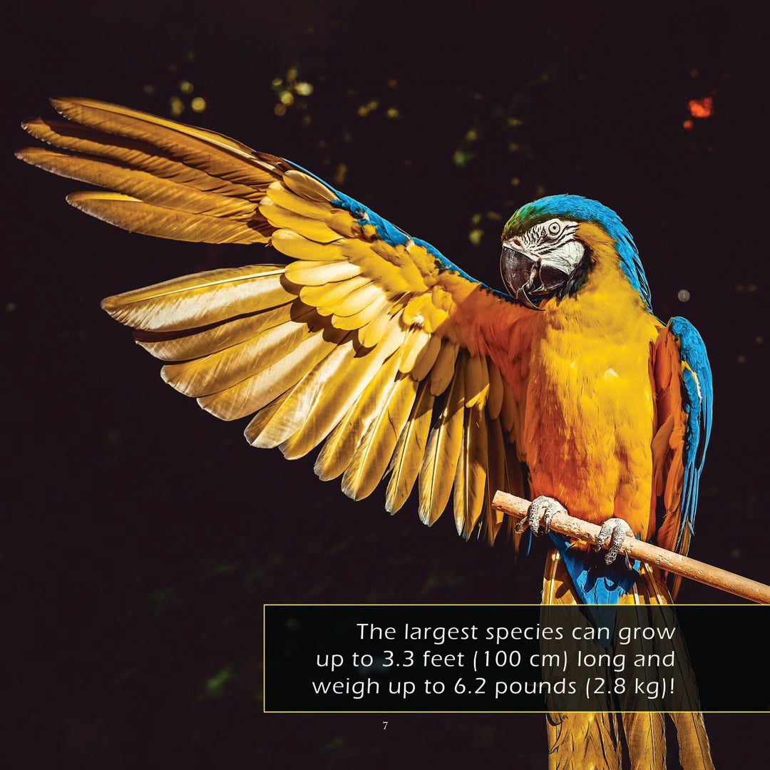 Parrots! Classroom 10-Pack