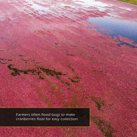 Cranberries! A My Incredible World Picture Book for Children