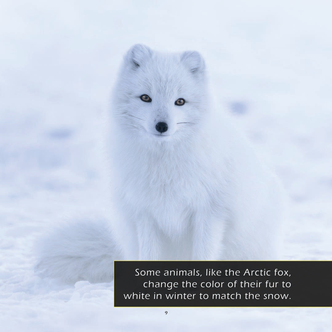 Snow! A My Incredible World Picture Book for Children