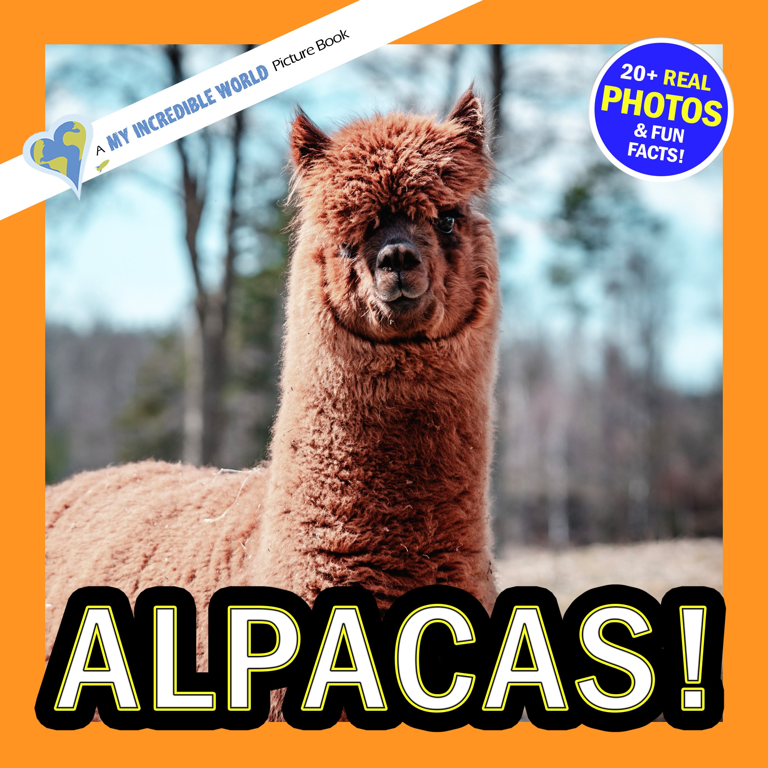 Alpacas! A My Incredible World Picture Book for Children
